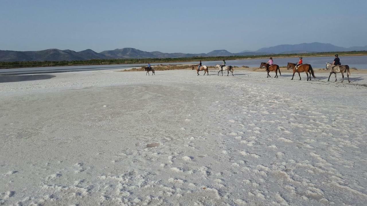 Masainas Agriturismo Is Solinas מראה חיצוני תמונה