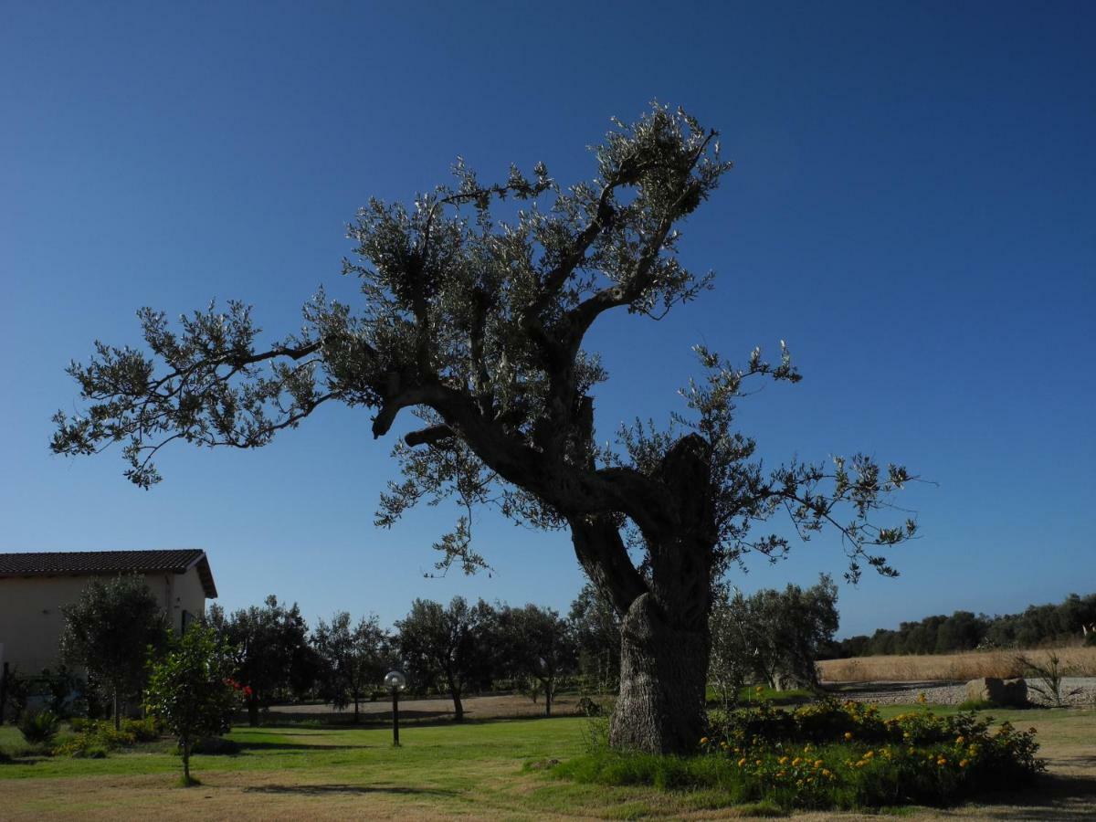 Masainas Agriturismo Is Solinas מראה חיצוני תמונה